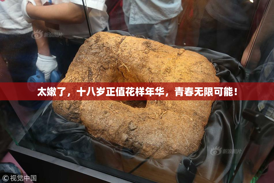 太嫩了，十八岁正值花样年华，青春无限可能！