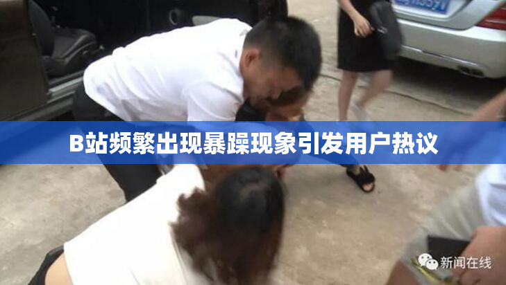 B站频繁出现暴躁现象引发用户热议