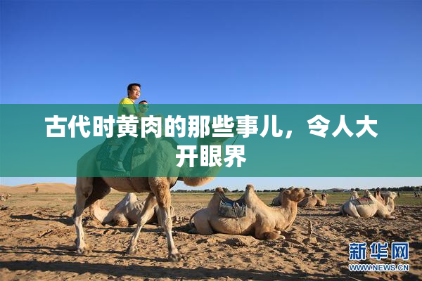 古代时黄肉的那些事儿，令人大开眼界