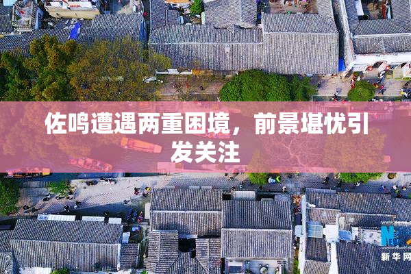 佐鸣遭遇两重困境，前景堪忧引发关注