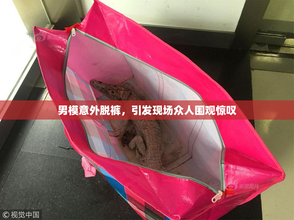 男模意外脱裤，引发现场众人围观惊叹