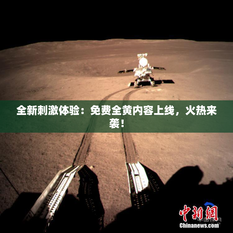 全新刺激体验：免费全黄内容上线，火热来袭！