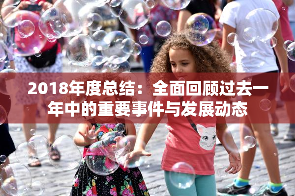 2018年度总结：全面回顾过去一年中的重要事件与发展动态