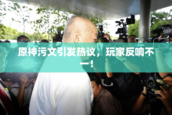 原神污文引发热议，玩家反响不一！