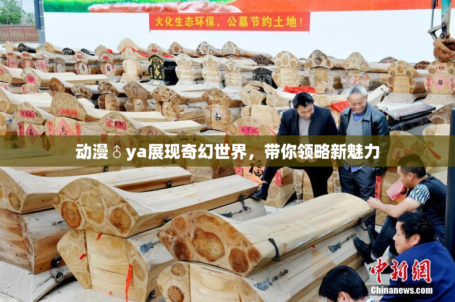 动漫♂ya展现奇幻世界，带你领略新魅力