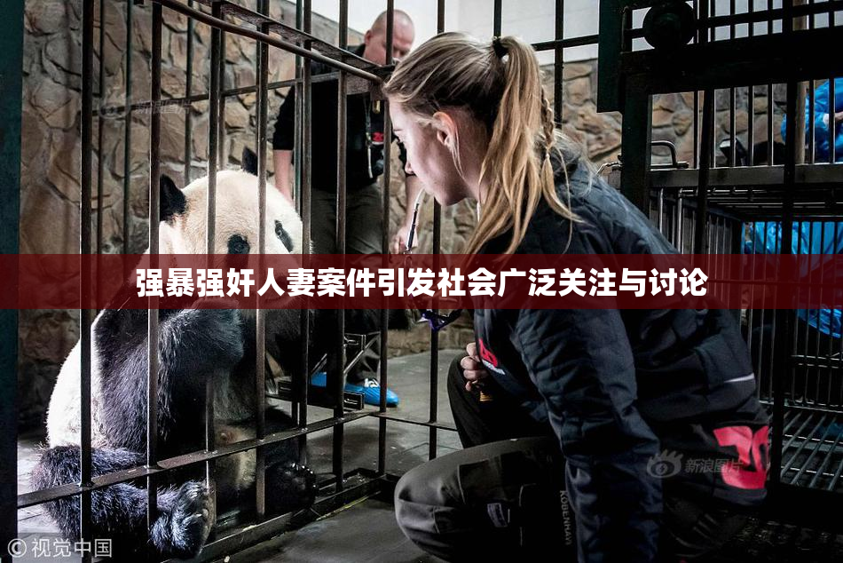 强暴强奸人妻案件引发社会广泛关注与讨论