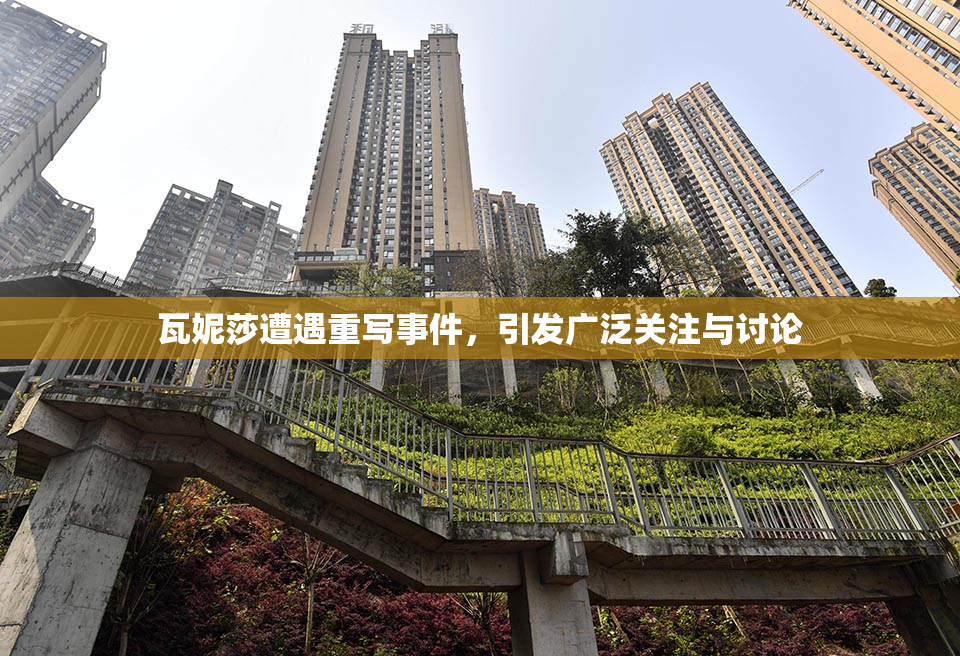 瓦妮莎遭遇重写事件，引发广泛关注与讨论