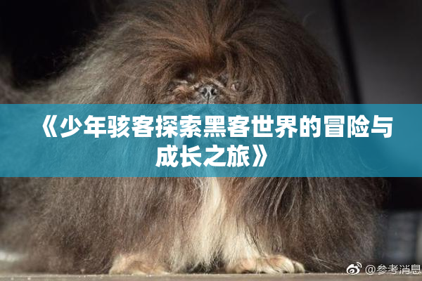 《少年骇客探索黑客世界的冒险与成长之旅》