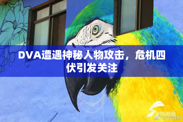 DVA遭遇神秘人物攻击，危机四伏引发关注
