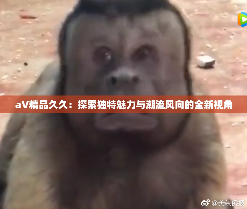 aV精品久久：探索独特魅力与潮流风向的全新视角