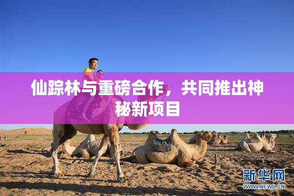 仙踪林与重磅合作，共同推出神秘新项目