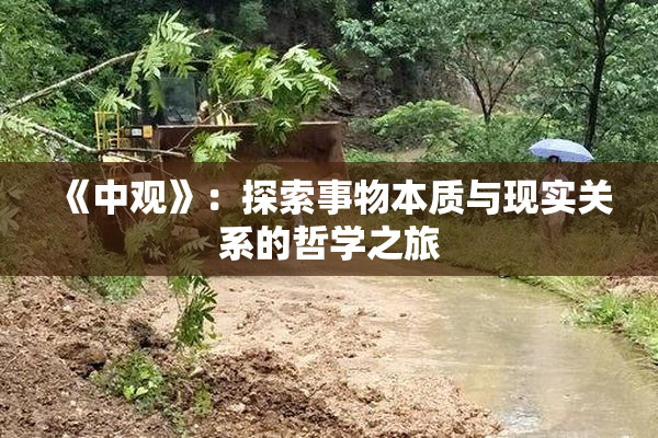 《中观》：探索事物本质与现实关系的哲学之旅