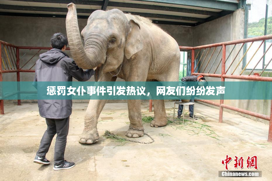 惩罚女仆事件引发热议，网友们纷纷发声
