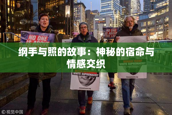 纲手与照的故事：神秘的宿命与情感交织