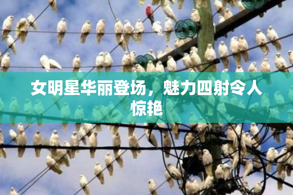女明星华丽登场，魅力四射令人惊艳