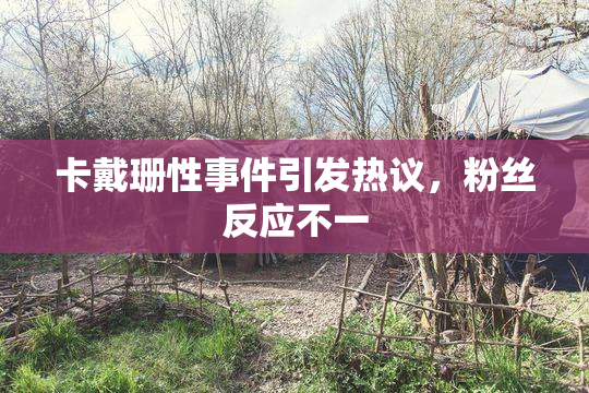 卡戴珊性事件引发热议，粉丝反应不一