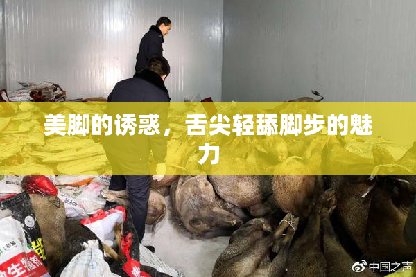 美脚的诱惑，舌尖轻舔脚步的魅力
