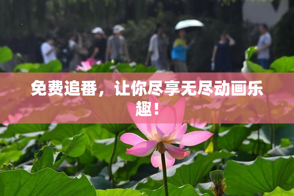 免费追番，让你尽享无尽动画乐趣！