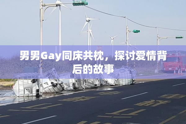 男男Gay同床共枕，探讨爱情背后的故事