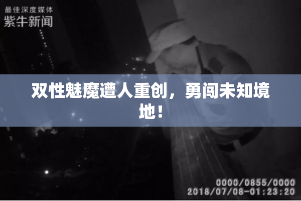 双性魅魔遭人重创，勇闯未知境地！