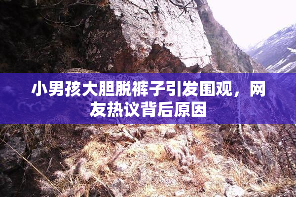 小男孩大胆脱裤子引发围观，网友热议背后原因