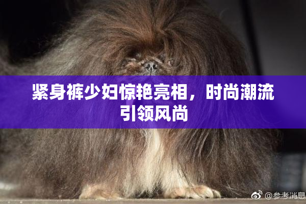 紧身裤少妇惊艳亮相，时尚潮流引领风尚