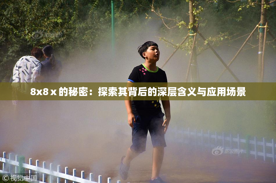 8x8ⅹ的秘密：探索其背后的深层含义与应用场景