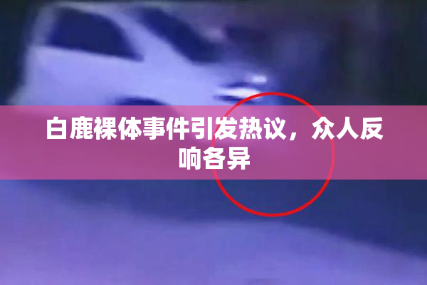 白鹿裸体事件引发热议，众人反响各异