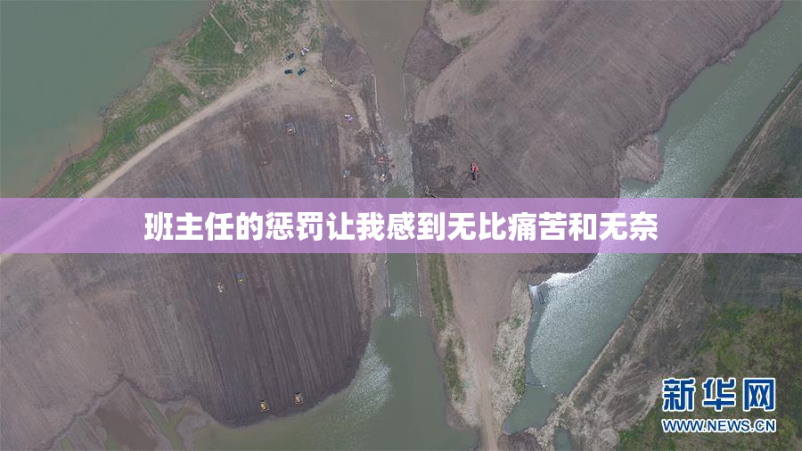 班主任的惩罚让我感到无比痛苦和无奈