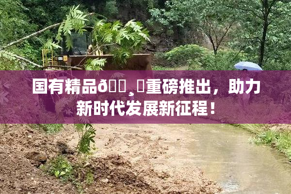 国有精品🌸‌重磅推出，助力新时代发展新征程！