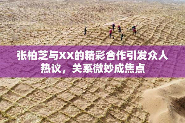 张柏芝与XX的精彩合作引发众人热议，关系微妙成焦点