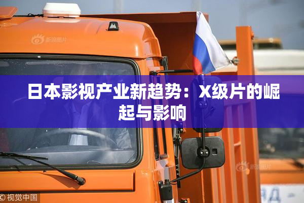 日本影视产业新趋势：X级片的崛起与影响