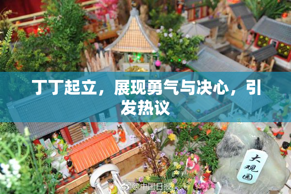 丁丁起立，展现勇气与决心，引发热议