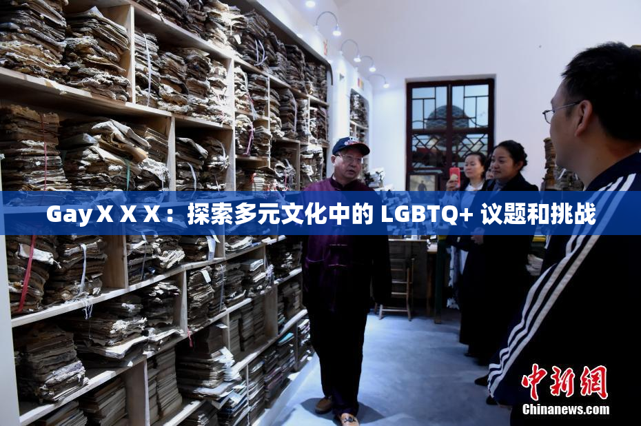GayⅩⅩⅩ：探索多元文化中的 LGBTQ+ 议题和挑战