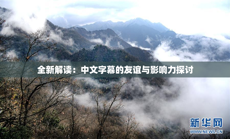 全新解读：中文字幕的友谊与影响力探讨