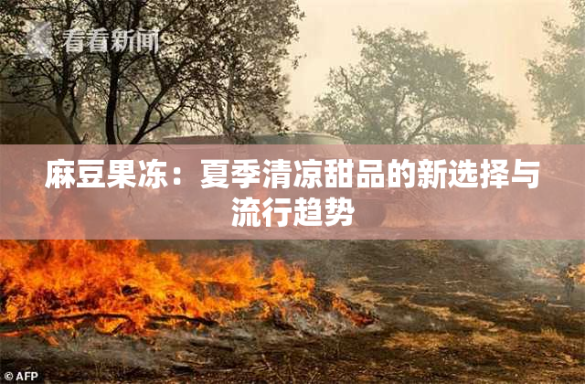 麻豆果冻：夏季清凉甜品的新选择与流行趋势