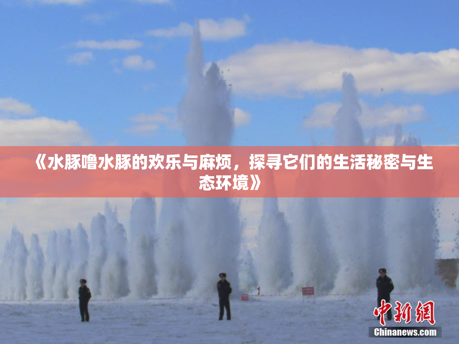 《水豚噜水豚的欢乐与麻烦，探寻它们的生活秘密与生态环境》
