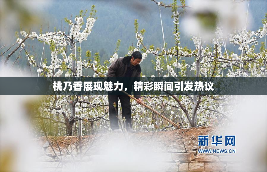 桃乃香展现魅力，精彩瞬间引发热议