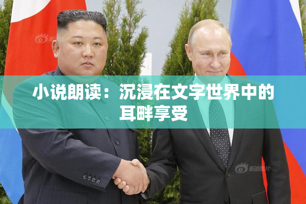 小说朗读：沉浸在文字世界中的耳畔享受