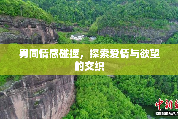 男同情感碰撞，探索爱情与欲望的交织