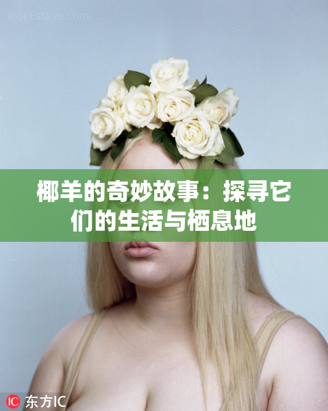 椰羊的奇妙故事：探寻它们的生活与栖息地
