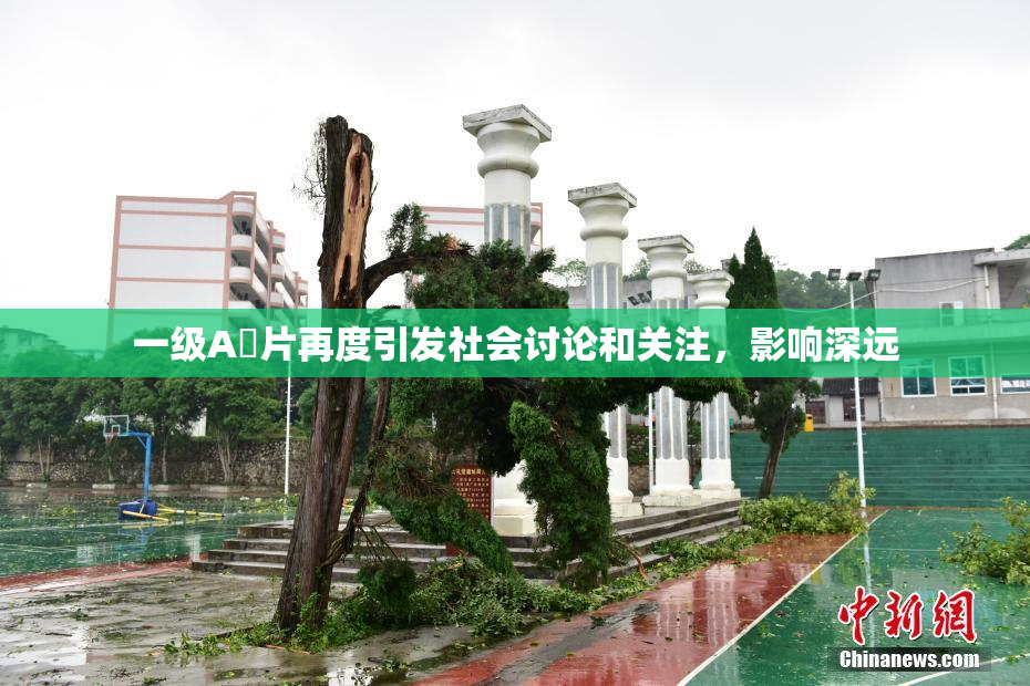 一级A婬片再度引发社会讨论和关注，影响深远
