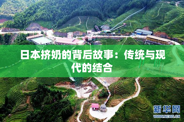 日本挤奶的背后故事：传统与现代的结合