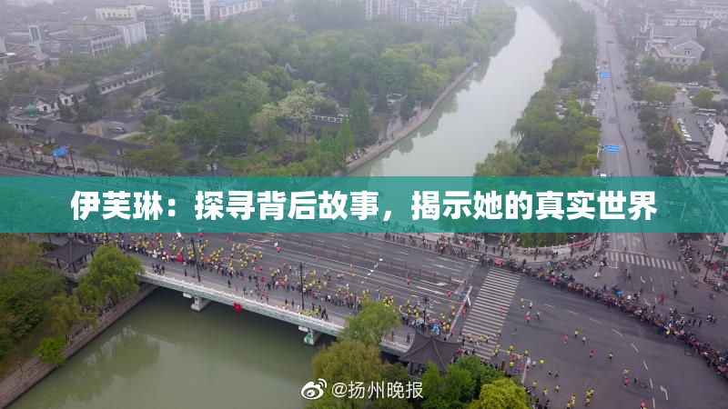 伊芙琳：探寻背后故事，揭示她的真实世界
