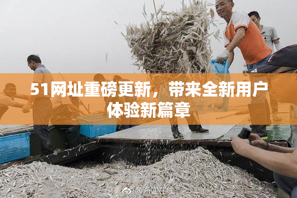 51网址重磅更新，带来全新用户体验新篇章