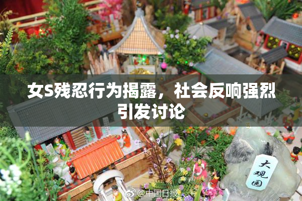 女S残忍行为揭露，社会反响强烈引发讨论