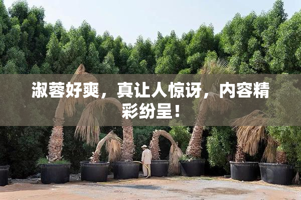 淑蓉好爽，真让人惊讶，内容精彩纷呈！