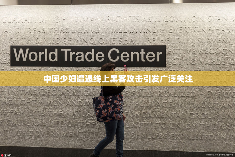 中国少妇遭遇线上黑客攻击引发广泛关注