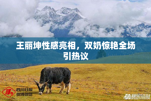 王丽坤性感亮相，双奶惊艳全场引热议