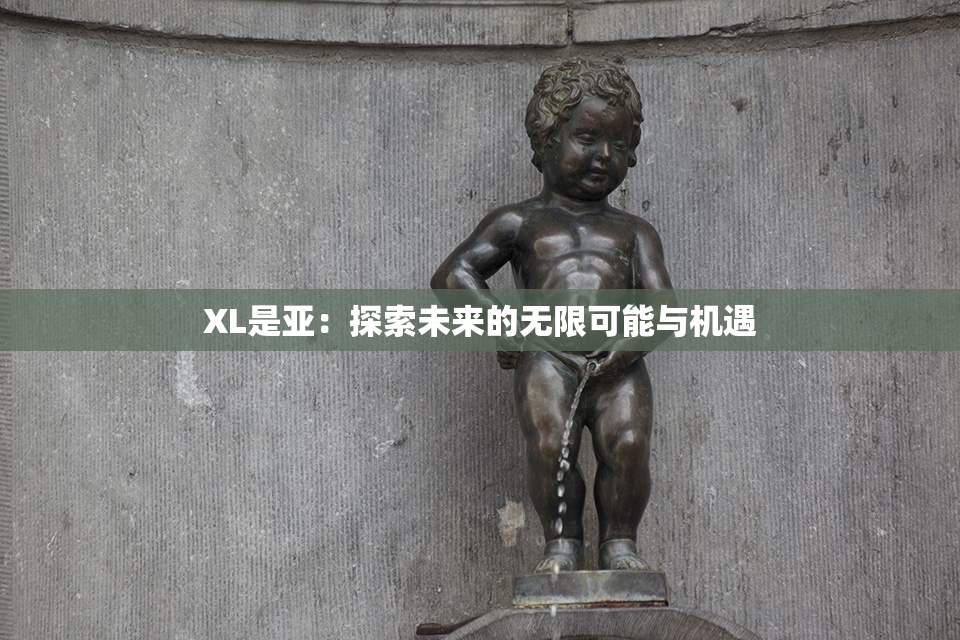 XL是亚：探索未来的无限可能与机遇